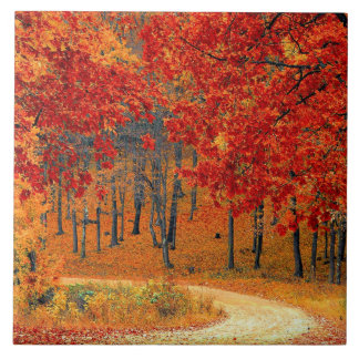 Carreau Chemin dans la forêt, automne