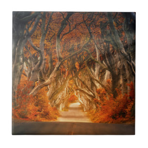 Carreau Chemin de bois d'automne