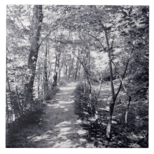 Carreau Chemin de la foi