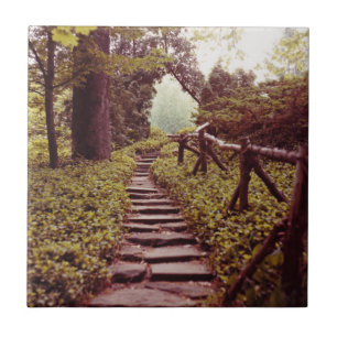 Carreau Chemin vers la lumière