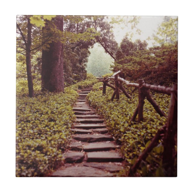 Carreau Chemin vers la lumière (Devant)