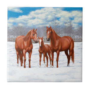Carreau Chestnut Sorrel Quarter Chevaux En Neige