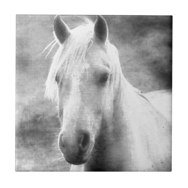 Carreau Cheval (Devant)