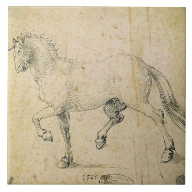 Carreau Cheval, 1503 (à l'encre sur le papier) (Devant)