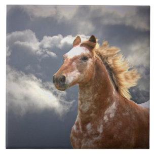 Carreau Cheval Appaloosa et nuages