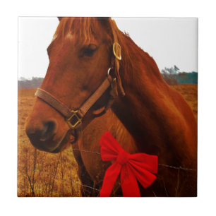 Carreau Cheval avec Bow rouge