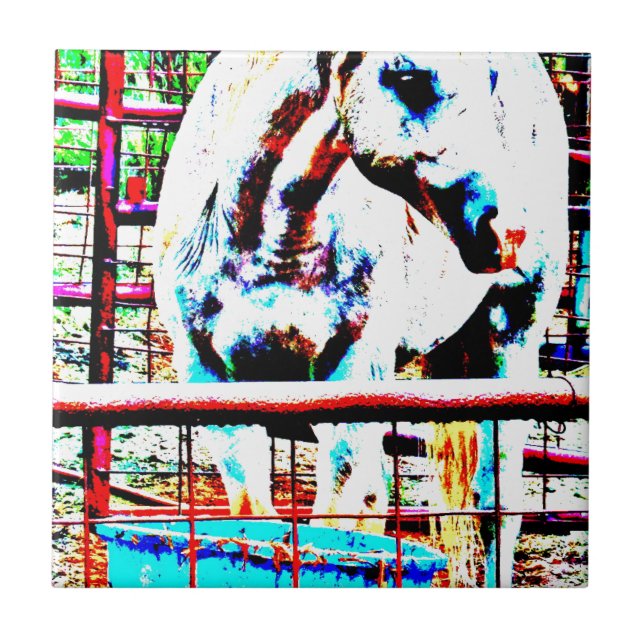 Carreau Cheval blanc (Devant)