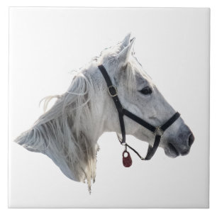 Carreau Cheval Blanc
