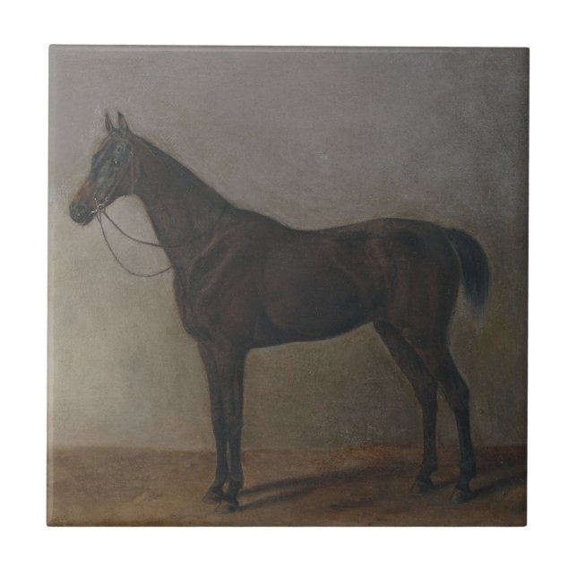 Carreau Cheval de la baie de Gelding (par Albrecht Adam) (Devant)