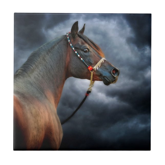 Carreau Cheval de nuit (Devant)