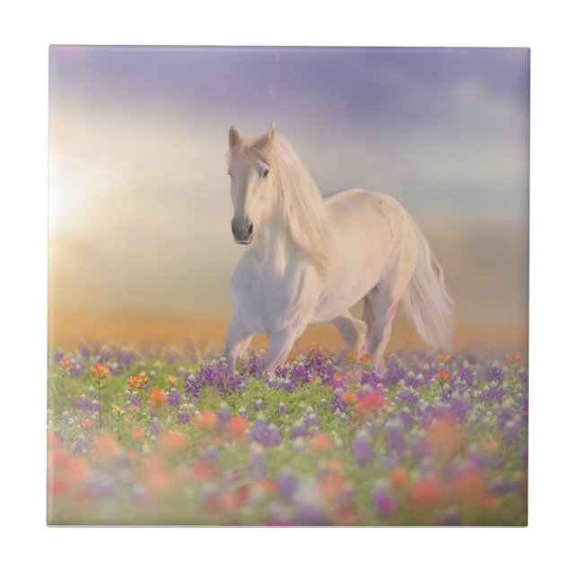 Carreau Cheval de rêve courant à travers le champ de fleur (Devant)