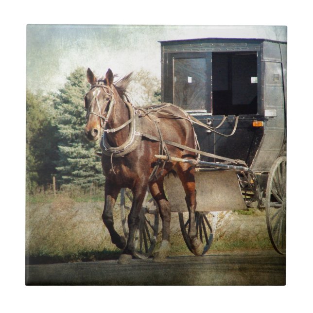 Carreau Cheval et Buggy en Iowa rural (Devant)