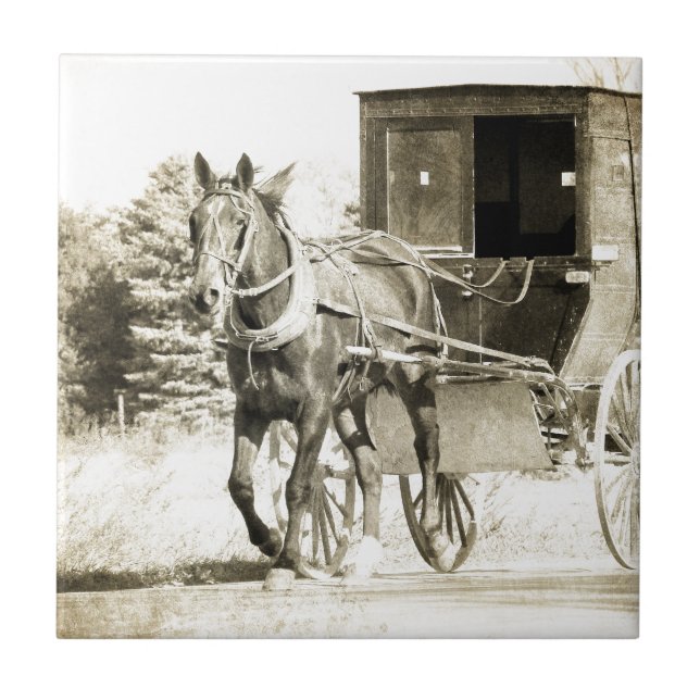 Carreau Cheval et Buggy Sepia (Devant)