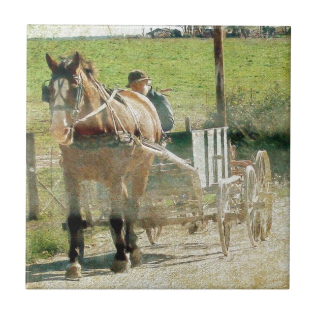 Carreau Cheval et panier Amish (Devant)