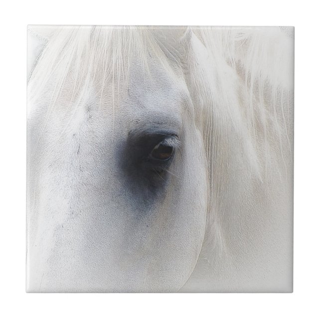 Carreau Cheval & Floral (Devant)