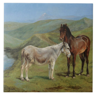 Carreau Cheval gris clair dans un champ (animal de ferme é