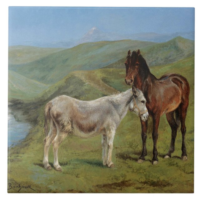 Carreau Cheval gris clair dans un champ (animal de ferme é (Devant)