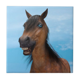Carreau Cheval heureux