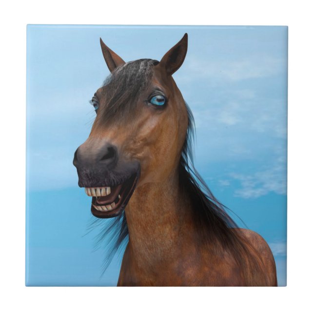 Carreau Cheval heureux (Devant)