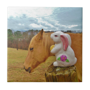 Carreau Cheval Jaune, Lapin De Printemps