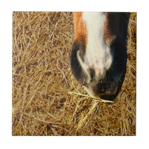 Carreau Cheval mangeant du foin
