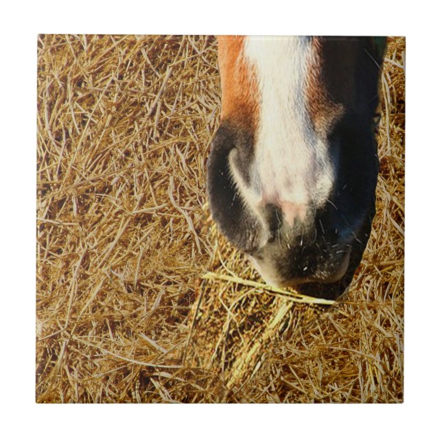 Carreau Cheval mangeant du foin (Devant)