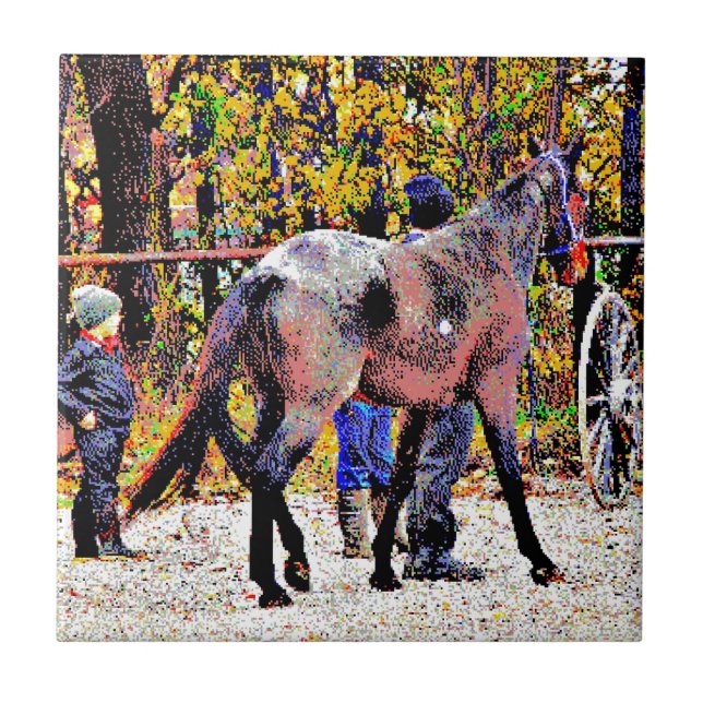 Carreau Cheval New Amish 8 bits (Devant)