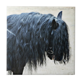 Carreau Cheval noir