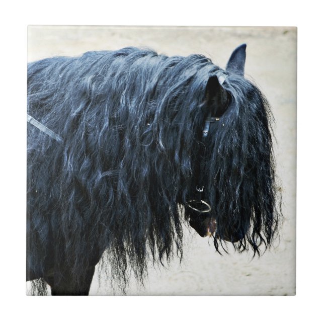 Carreau Cheval noir (Devant)