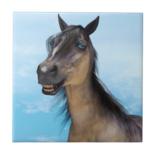 Carreau Cheval souriant