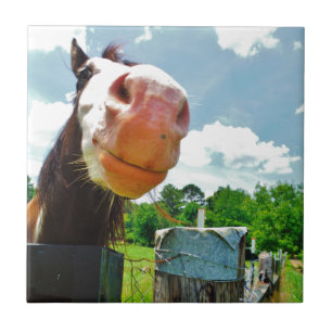 Carreau Cheval souriant