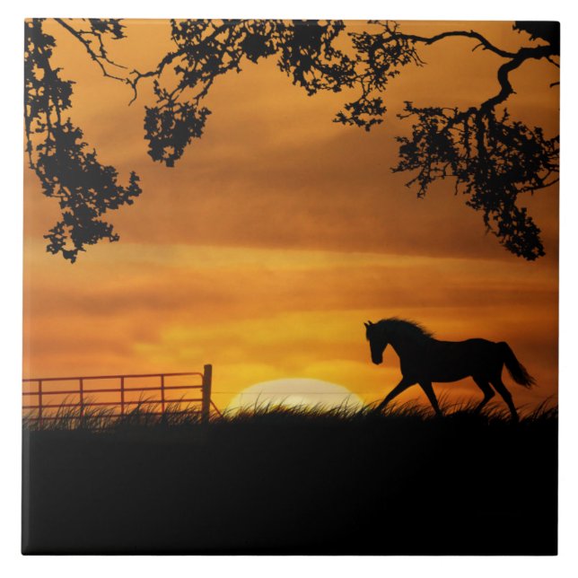 Carreau Cheval Trotting et Carrelage d'art Sunrise (Devant)