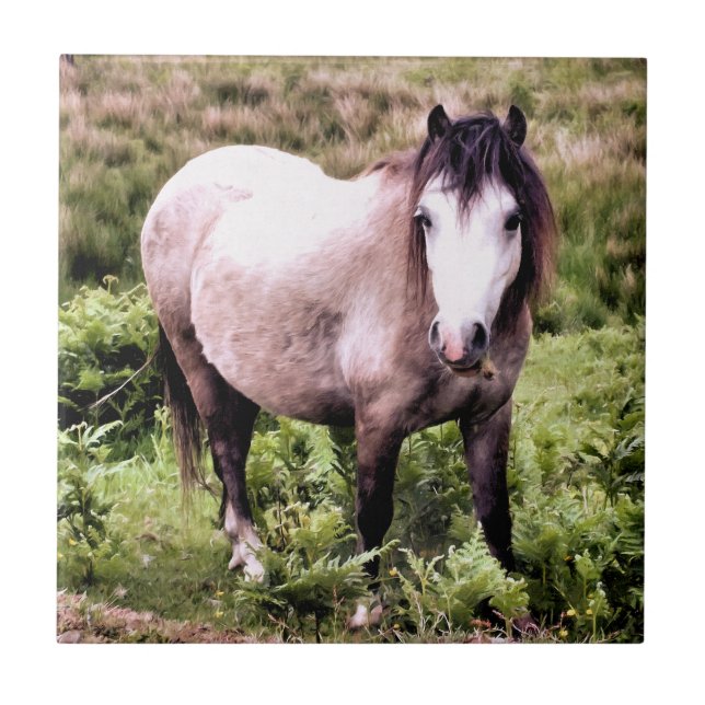 CARREAU CHEVAUX (Devant)