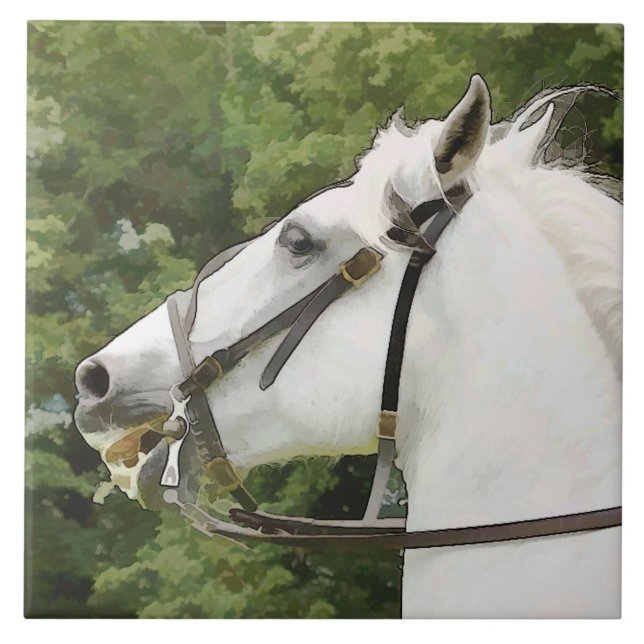 CARREAU CHEVAUX (Devant)
