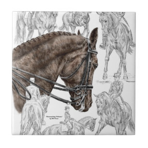 Carreau Chevaux de contrainte collectés FEI