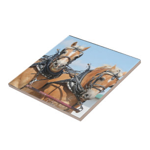 Carreau Chevaux de Haflinger