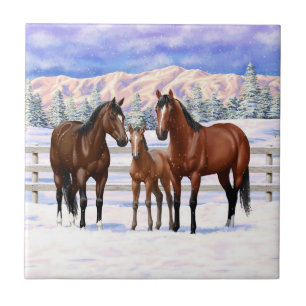 Carreau Chevaux Du Quartier De La Baie Brown En Neige