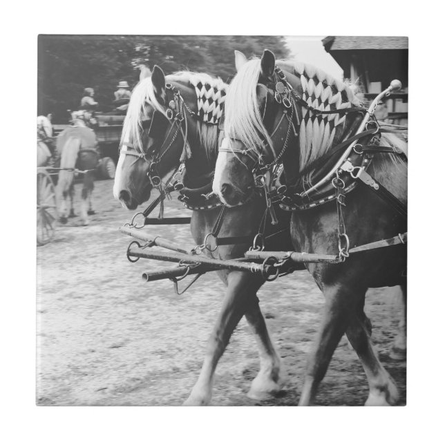 Carreau Chevaux en noir et blanc (Devant)