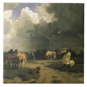 Carreau Chevaux en orage pluviale (équine)