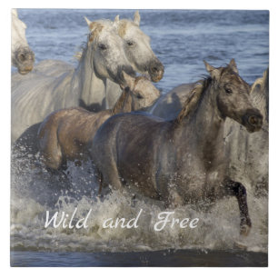 Carreau Chevaux galopant dans l'eau