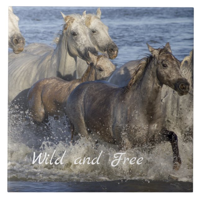 Carreau Chevaux galopant dans l'eau (Devant)