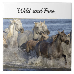 Carreau Chevaux galopant dans l'eau