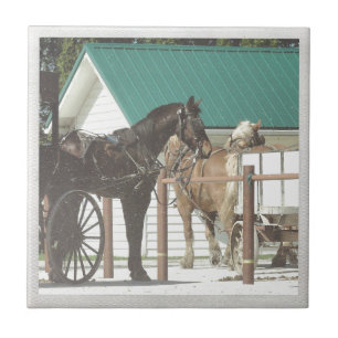 Carreau Chevaux Kalona Amish