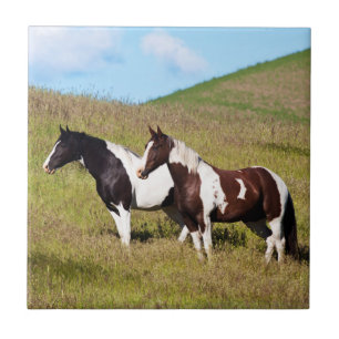 Carreau Chevaux sur le flanc de colline