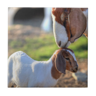 Carreau Chèvre de mère embrassant son bébé sur la tête