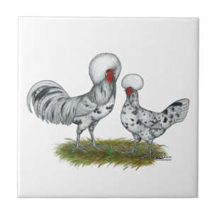 Carreau Chickens de Polish