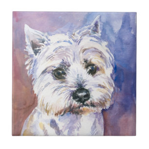 Carreau Chien