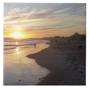 Carreau Chien à Sunset California Dreaming Tile