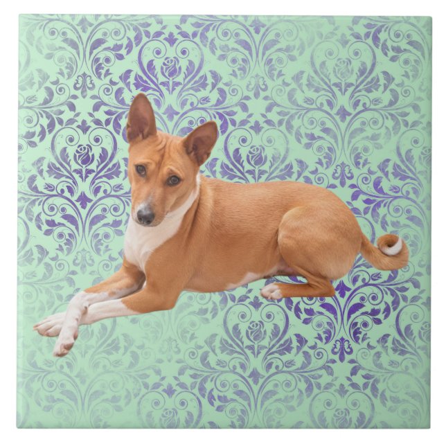 Carreau Chien Basenji  (Devant)