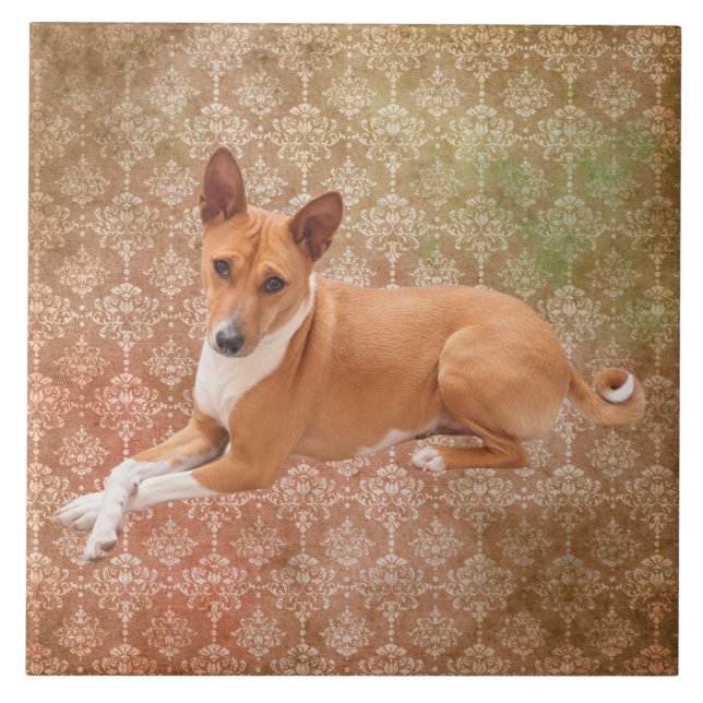 Carreau Chien Basenji  (Devant)